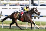 Robert Sangster Stakes An Option For Miss Gunpowder