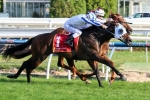 Dissident’s Rating Reaches New Heights Out Of Sir Rupert Clarke Stakes Dissident’s Rating Reaches New Heights Out Of Sir Rupert Clarke Stakes