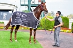 Rich Enuff Early Favourite In Caulfield Guineas Betting Rich Enuff Early Favourite In Caulfield Guineas Betting
