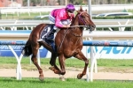 Rich Enuff Headlines Caulfield Guineas Field