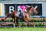Caulfield Guineas not a one horse race say rival trainers Caulfield Guineas not a one horse race say rival trainers