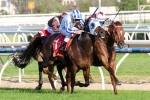 Trust In A Gust Scores Narrow 2014 Sir Rupert Clarke Stakes Win