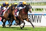 Garud To Be Included In Acceptances For Both Christmas Cup and Werribee Cup