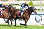Balmont Girl to show staying ability in W.A. St Leger Balmont Girl to show staying ability in W.A. St Leger