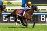 Balmont Girl out of C.B. Cox Stakes, runs in W.A. St Leger