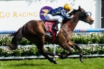 Elite Belle to start favourite in C.B. Cox Stakes Elite Belle to start favourite in C.B. Cox Stakes