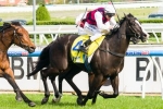 It Is Written To Make Weight-For-Age Debut In Kevin Heffernan Stakes