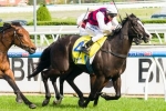 It Is Written To Make Weight-For-Age Debut In Kevin Heffernan Stakes It Is Written To Make Weight-For-Age Debut In Kevin Heffernan Stakes