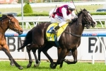 Australia Stakes 2016: Griffiths Bullish About It Is Written