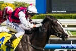 It Is Written ready to take on Dissident in Australia Stakes It Is Written ready to take on Dissident in Australia Stakes
