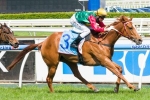 May’s Dream Narrow 2014 Myer Classic Favourite