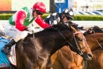 Rebel Dane draws midfield barrier in Australia Stakes Rebel Dane draws midfield barrier in Australia Stakes
