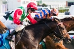 Rebel Dane draws the rails in Premiere Stakes Rebel Dane draws the rails in Premiere Stakes