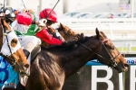 Rebel Dane Out Of Memsie Stakes Rebel Dane Out Of Memsie Stakes