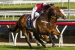 McEvoy Confident Epaulette Will Relish Flemington In VRC Sprint Classic McEvoy Confident Epaulette Will Relish Flemington In VRC Sprint Classic
