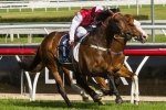 McEvoy Confident Epaulette Will Relish Flemington In VRC Sprint Classic