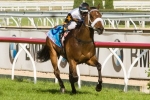 Moment Of Change Draws 6 for Goodwood Moment Of Change Draws 6 for Goodwood