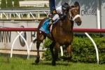 Moody hoping for speed battle in Winterbottom Stakes Moody hoping for speed battle in Winterbottom Stakes