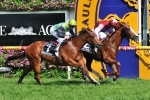 Manawanui To Resume In Bill Ritchie Handicap Manawanui To Resume In Bill Ritchie Handicap