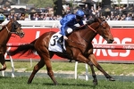 Chetwood Headlines Godolphin’s Australia Stakes Defence Chetwood Headlines Godolphin’s Australia Stakes Defence