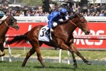 Chetwood Headlines Godolphin’s Australia Stakes Defence