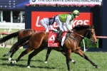 Blinkers on freshened up Divine Prophet in All Aged Stakes Blinkers on freshened up Divine Prophet in All Aged Stakes