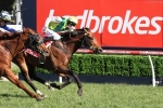 2016 Ladbrokes Caulfield Guineas results: Divine Prophet wins 2016 Ladbrokes Caulfield Guineas results: Divine Prophet wins