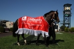Divine Prophet has weight advantage in C.F. Orr Stakes Divine Prophet has weight advantage in C.F. Orr Stakes
