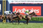 Global Glamour heads the betting for Light Fingers Stakes