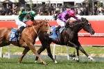 Wait For No One Wins Inglis Debutant Stakes
