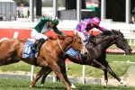 Spoils to Carry Benefit Into Chairman’s Stakes