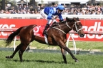 Your Quick 2016 Cox Plate Form Guide: All Ten Runners Your Quick 2016 Cox Plate Form Guide: All Ten Runners
