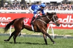 Winx Headlines 2017 Ladbrokes Cox Plate Nominations