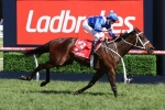 Winx draws barrier 4 in 2017 Chipping Norton Stakes Field