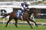 Amralah Receives Two Kilo Melbourne Cup Penalty