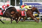 Criterion scores soft win in Ladbrokes Caulfield Stakes