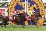 Mongolian Khan Still On Top Of Caulfield Cup Betting