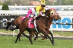 Lucky Hussler heads nominations for Crystal Mile