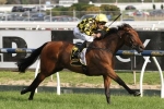 Stay With Me To Contest Royal Randwick Guineas