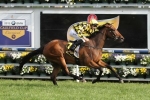 Stay With Me To be ridden quietly in Myer Classic Stay With Me To be ridden quietly in Myer Classic