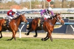 Press Report Beats Talented Fillies In Barrier Trial