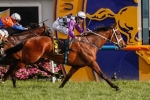 Stars To Trial At Rosehill Gardens