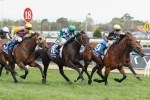 Light Week For Big Memory Ahead Of Caulfield Cup Light Week For Big Memory Ahead Of Caulfield Cup
