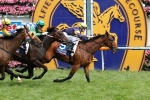 Big Memory right for first up tilt at Villiers Stakes