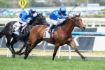William Reid Stakes 2015: Earthquake To Roll Forward