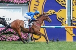 Manikato Stakes May Figure for Thoroughbred Club Winner Earthquake Manikato Stakes May Figure for Thoroughbred Club Winner Earthquake