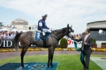 Fawkner A Clear Favourite In Underwood Stakes Betting