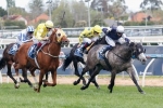 Williams Thrilled With Fawkner Ahead Of 2015 Ladbrokes Caulfield Stakes Williams Thrilled With Fawkner Ahead Of 2015 Ladbrokes Caulfield Stakes