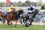 Bowman Set To Miss Cox Plate Ride On Criterion Bowman Set To Miss Cox Plate Ride On Criterion