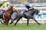 Williams Confident of Local Melbourne Cup Winner
